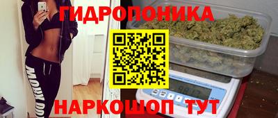 прущие грибы Бузулук