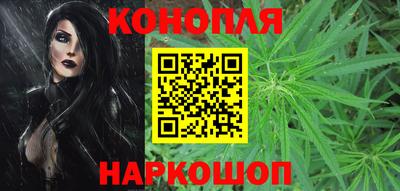 прущие грибы Бузулук